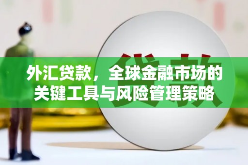 包头外汇贷款，全球金融市场的关键工具与风险管理策略