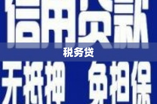 包头税务贷