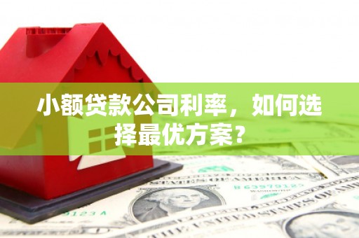 包头小额贷款公司利率，如何选择最优方案？