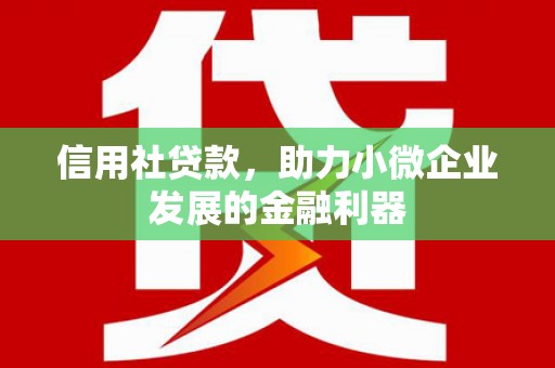 包头信用社贷款，助力小微企业发展的金融利器