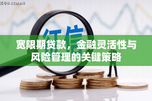包头宽限期贷款，金融灵活性与风险管理的关键策略