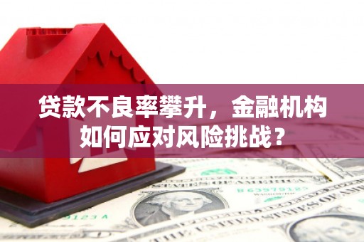 包头贷款不良率攀升，金融机构如何应对风险挑战？