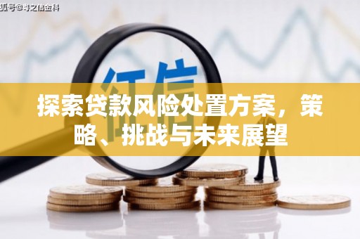包头探索贷款风险处置方案，策略、挑战与未来展望