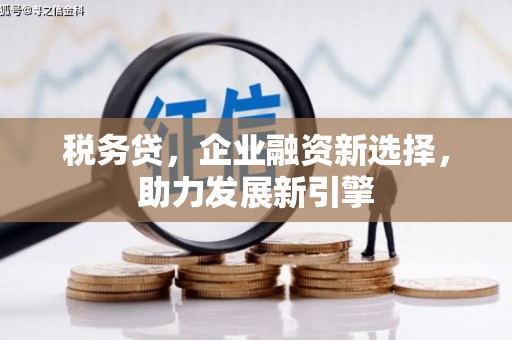 包头税务贷，企业融资新选择，助力发展新引擎