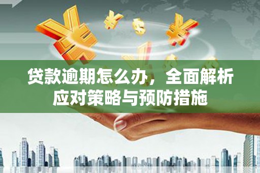 包头贷款逾期怎么办，全面解析应对策略与预防措施