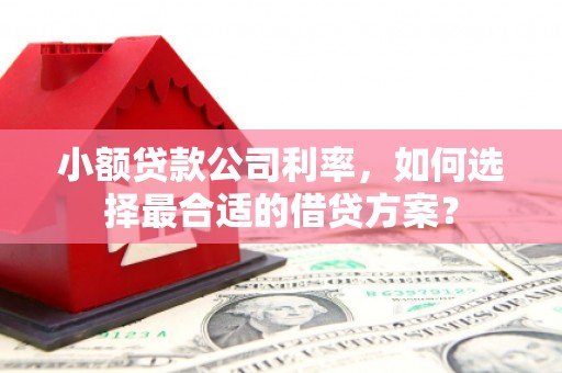 包头小额贷款公司利率，如何选择最合适的借贷方案？
