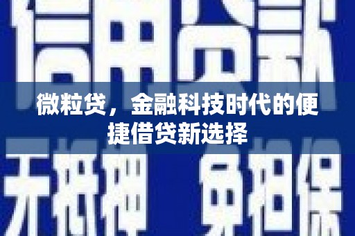 包头微粒贷，金融科技时代的便捷借贷新选择