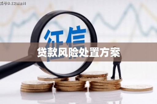 包头贷款风险处置方案
